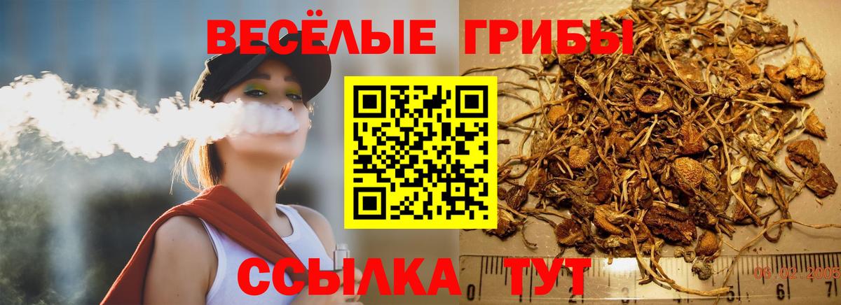 Якутск  Псилоцибиновые грибы Magic Shrooms  где продают наркотики  Вход с VPN 
